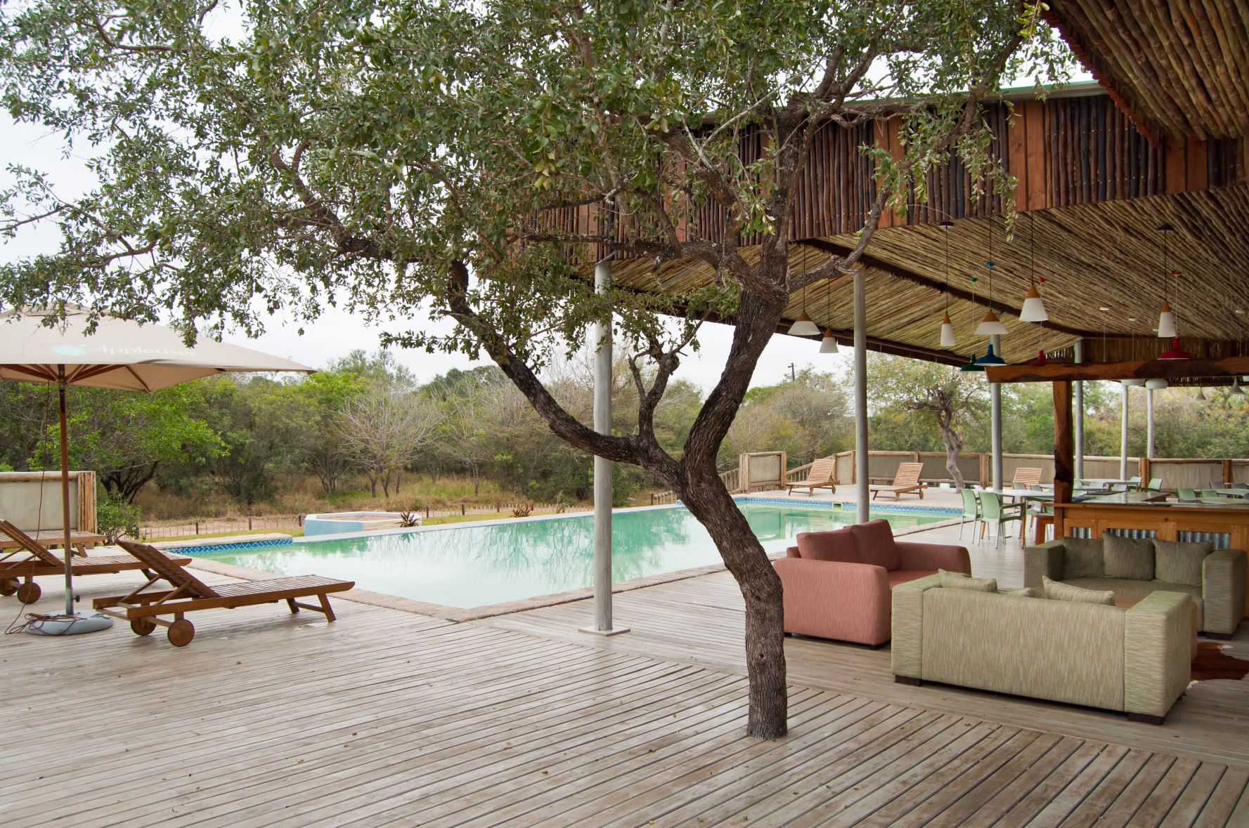 Kruger Safari Lodge thumbnail 3